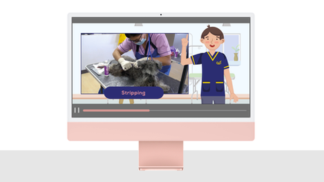 Instituto de Peluquería Canina Easygroom