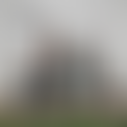 Microinversor o inversor central: ¿cuál me conviene?