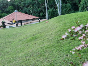 Instituto Rex Thomas 15.jpeg