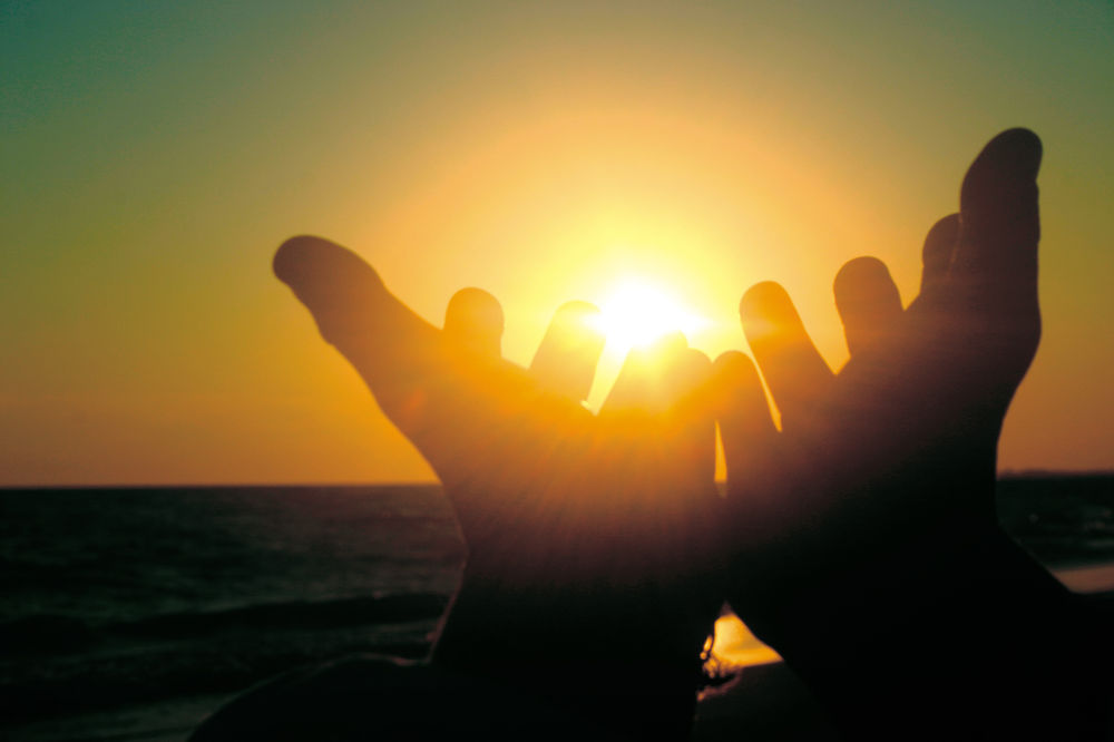 A Arte de celebrar a vida