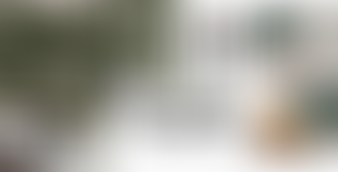 Biophilic design notebook, ideas for how to create the look at home, green wallpaper, tufted textured cushions, rattan furniture, cane seating, stools, side tables, plants