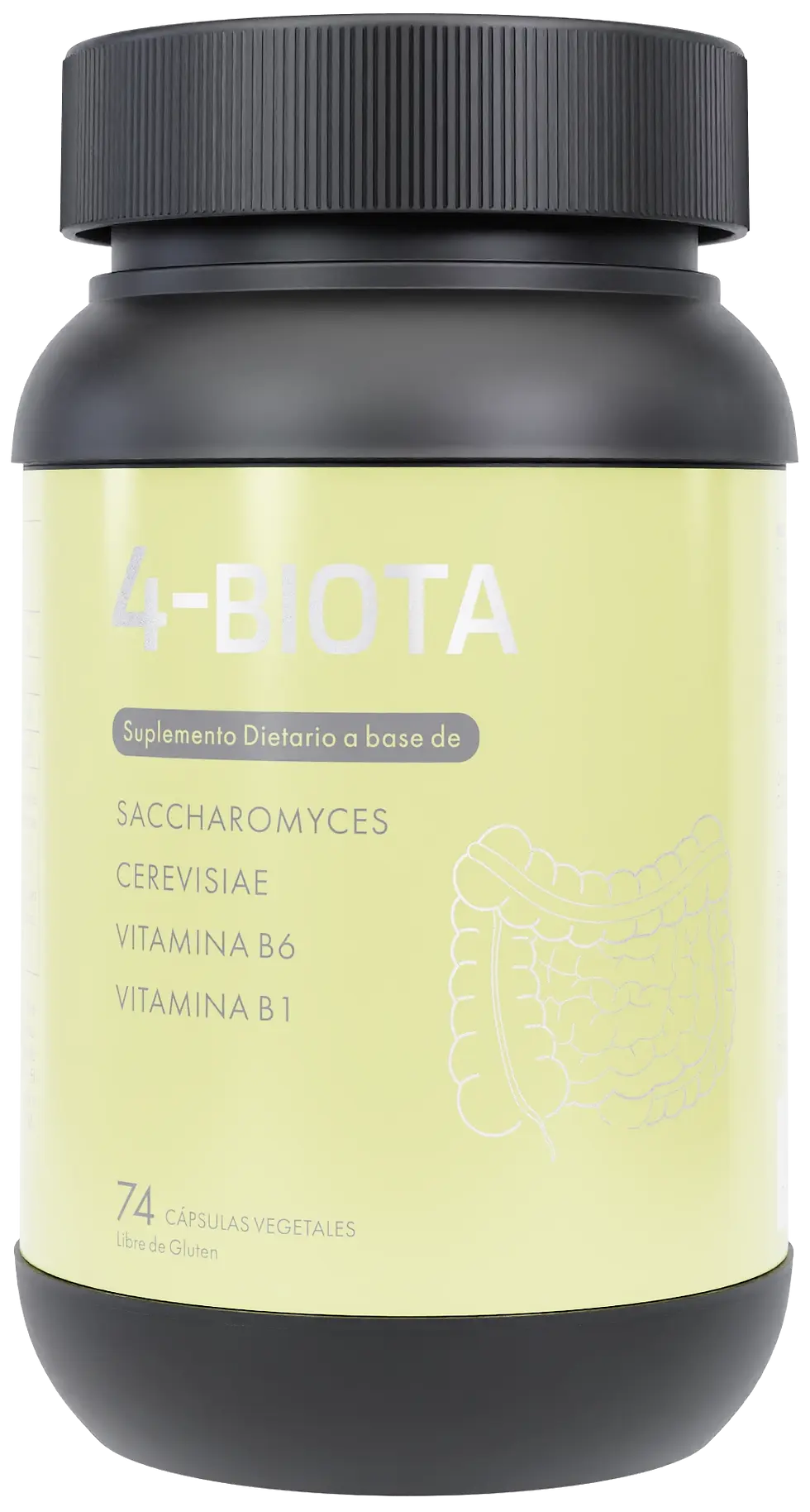 Biota.webp