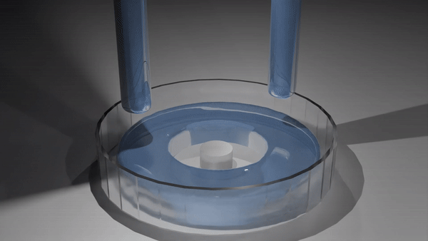Floating object on torus shape