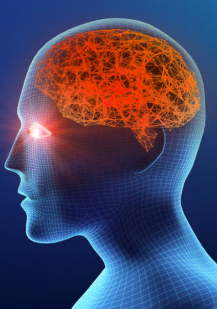 retinal imaging