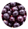 A cluster of dark purple acai berries