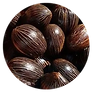 Dark ungurahua palm fruits with glossy skin