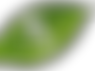 PROPOSTA PER UNA GESTIONE EFFICACE DELLA POLITICA ENERGETICA