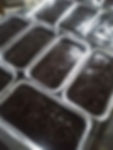 Brigadiero