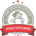 Luma Practioner of Human Centered Design Badge.png