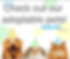 large_square_pet_list.gif