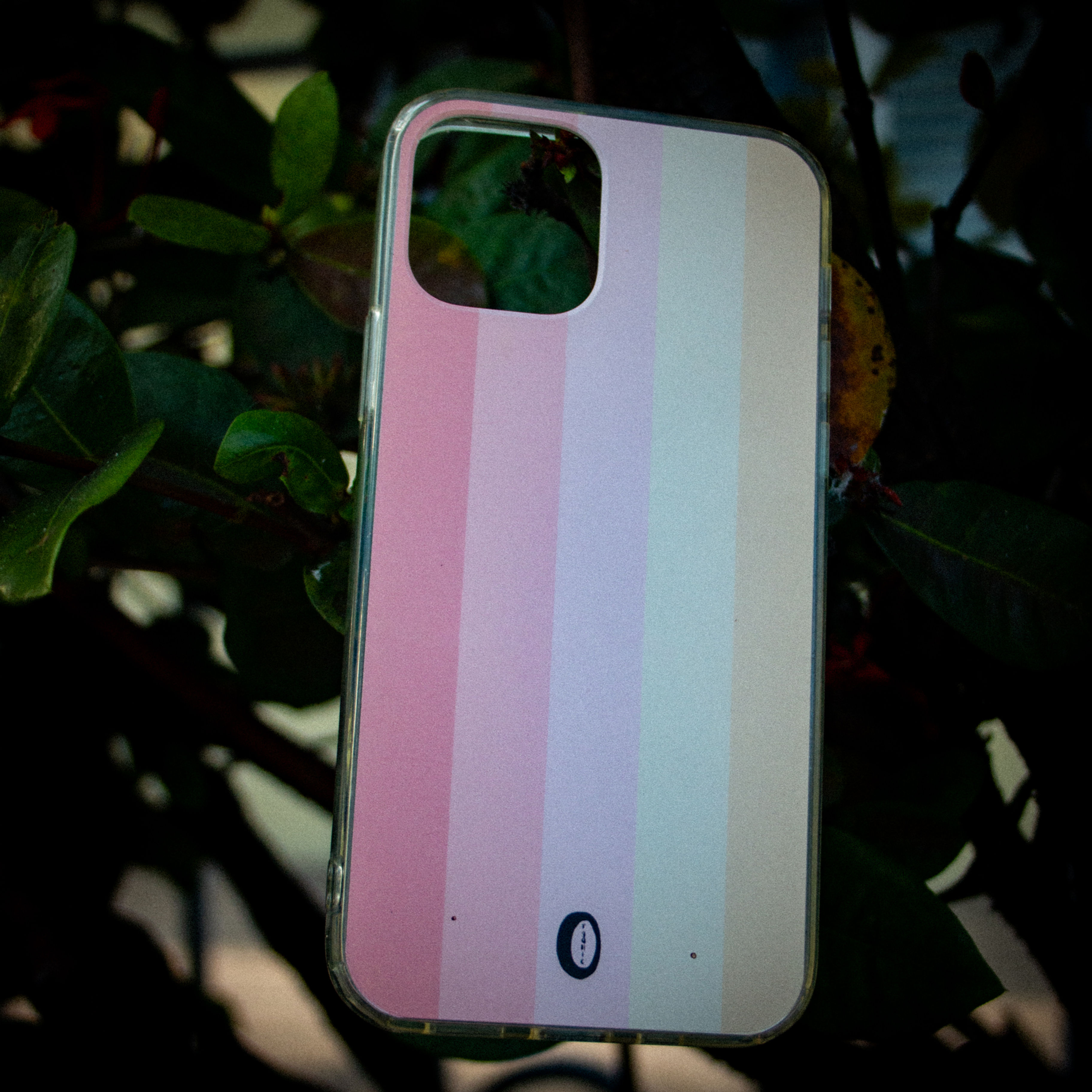 Hypoestes iPhone Case