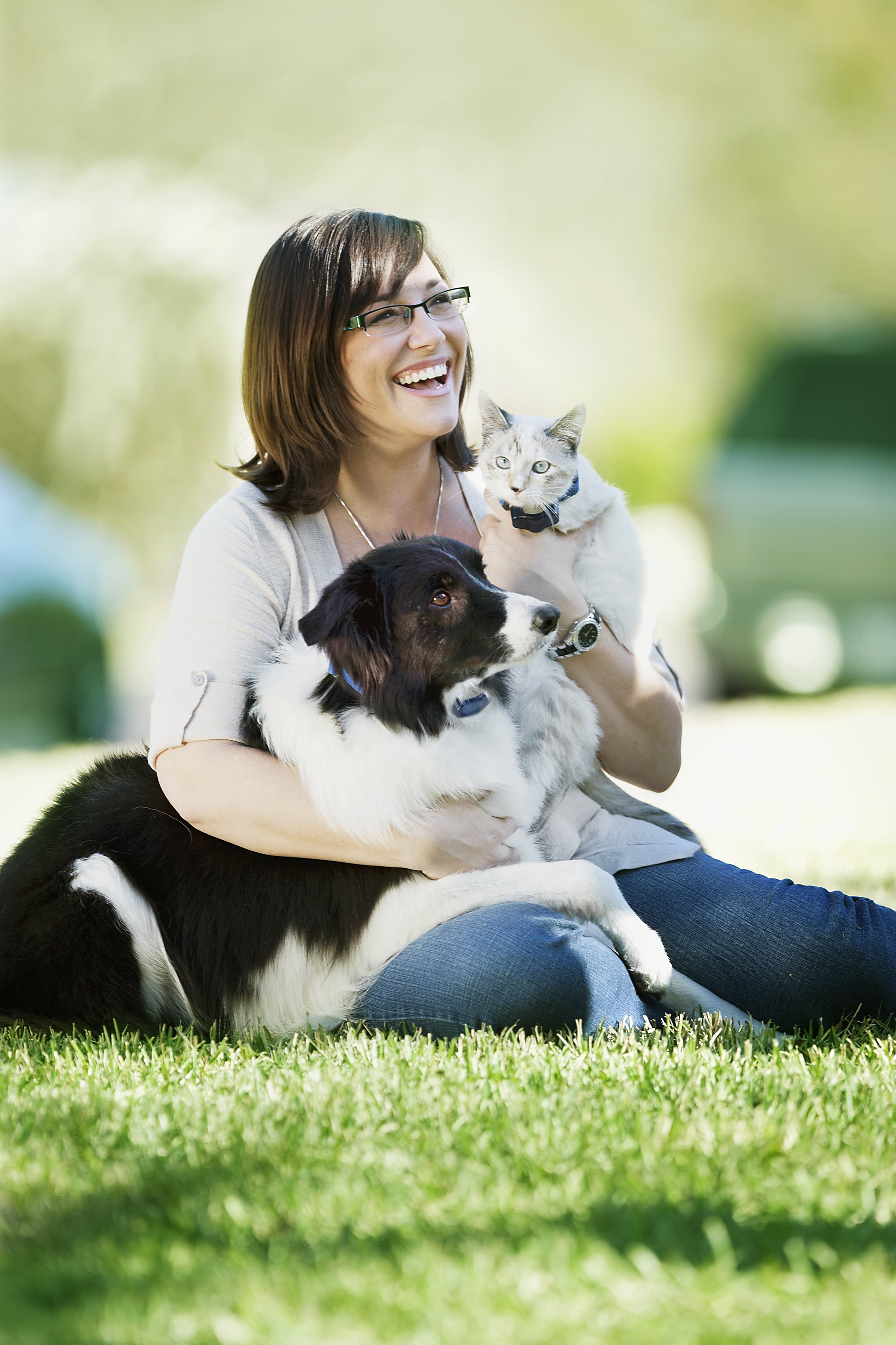 IF Pet Containment Systems
