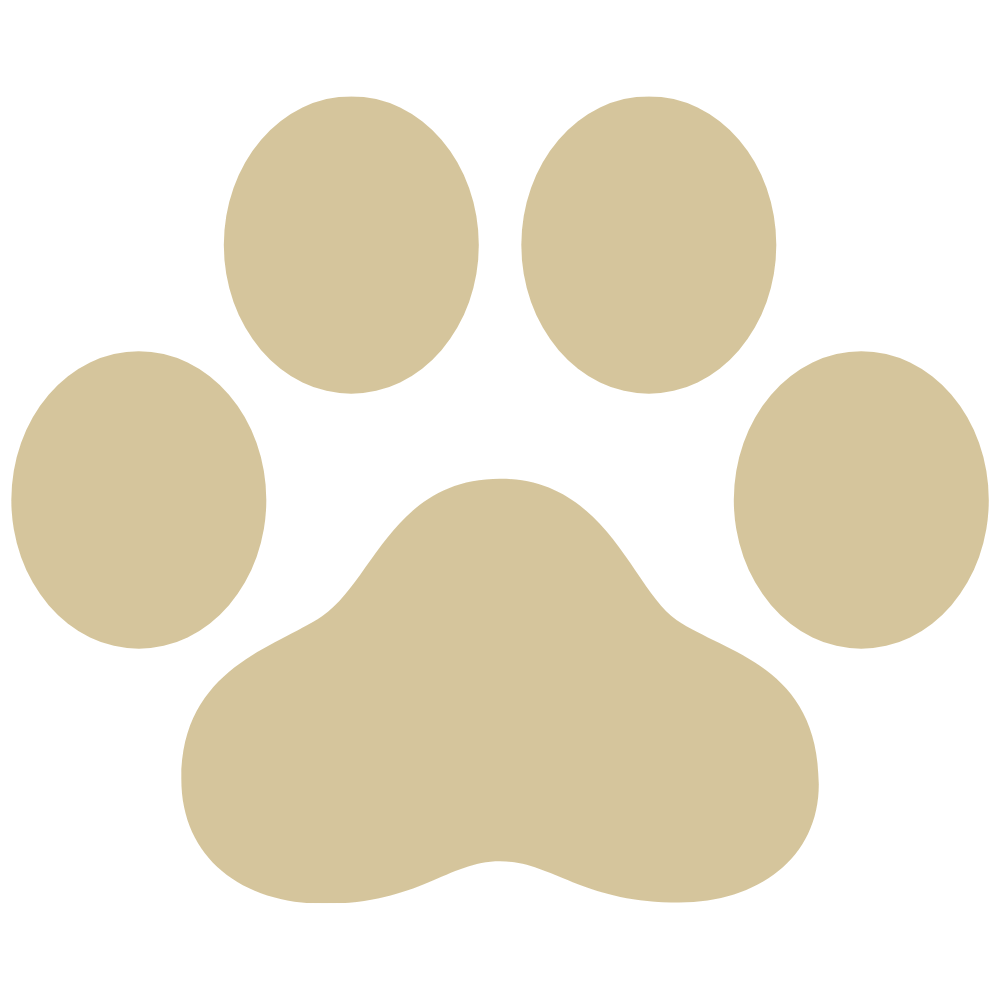 Rabbit Paw Icon