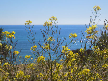 Mi. 01.03.17 / Ruhetag / Mazarron