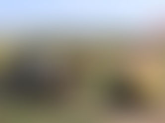 Di. 23.07.19 / Ruhetag / Wyke Regis