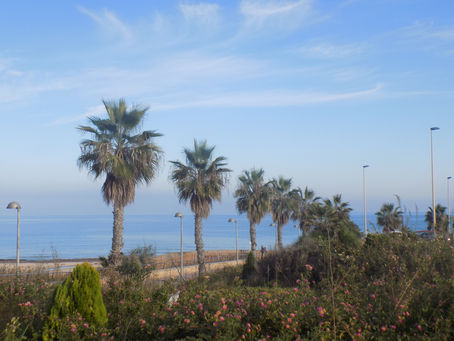 So. 11.12.16 / Überwinterung / Pilar de la Horodada