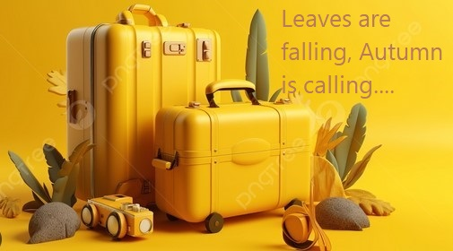 September Newsletter