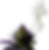 weedhandweedfaq.png
