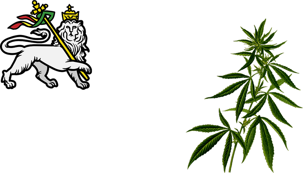 lionandweed.png