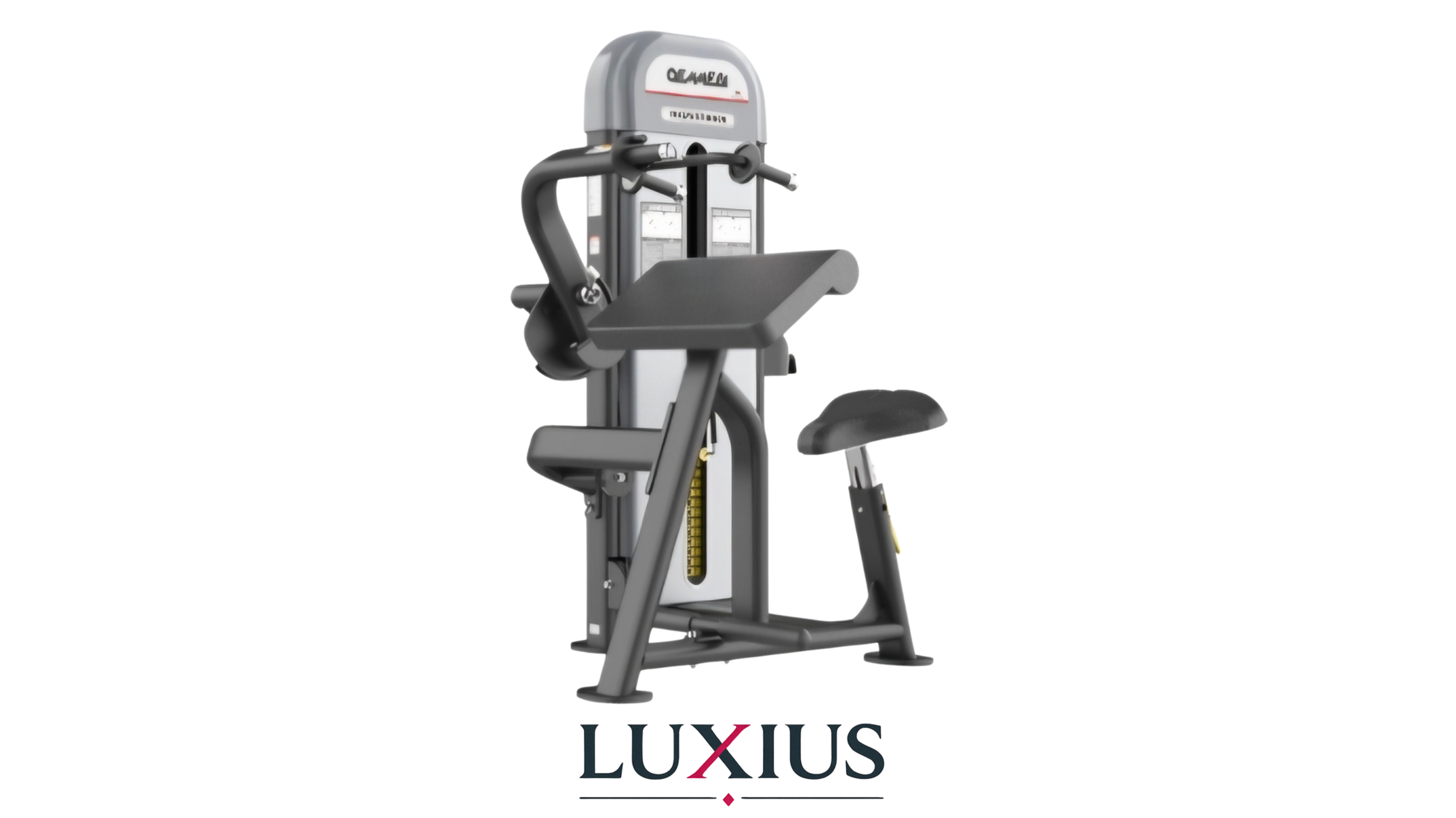 OEMMEBI Triceps Extension IRFB08 a pacco pesi – macchina isotonica per estensione tricipiti e allenamento braccia