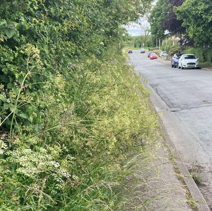 Cutting back overhanging vegetation, keep our Pavements & Back Lanes clear