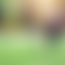 Important Update: Responsible Dog Ownership in the Pleasure Gardens