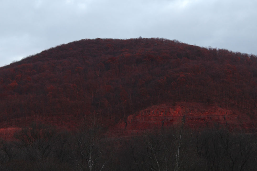 Buffalo Mountain