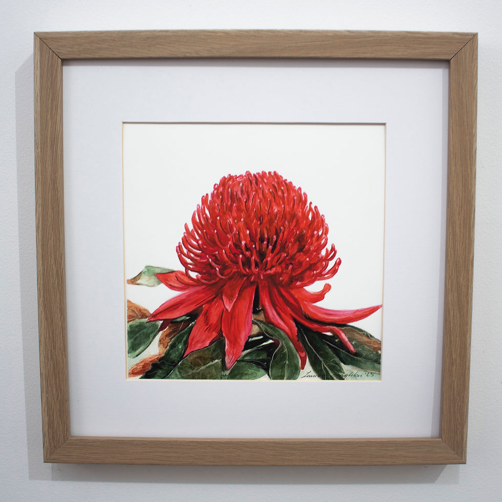 Thumbnail: Waratah, australian native - archival print
