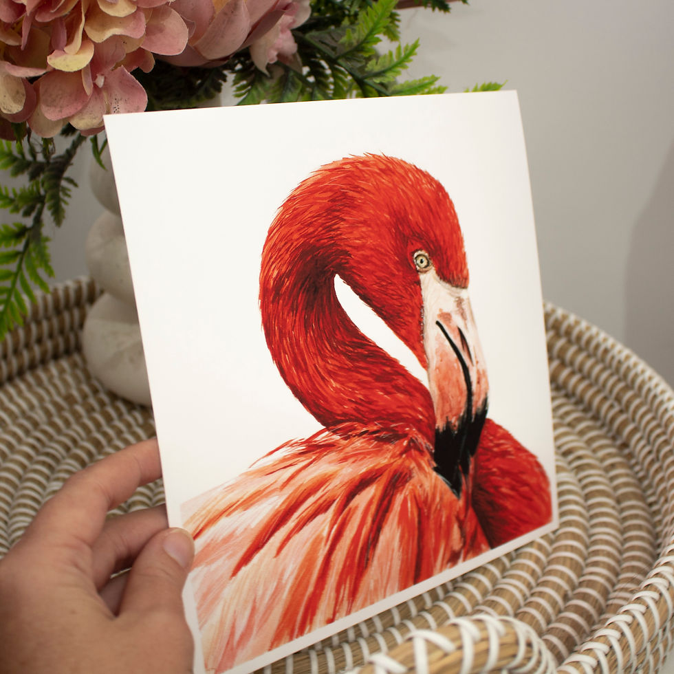 Thumbnail: Caribbean flamingo - archival print