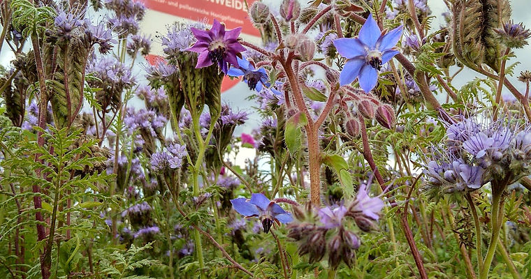 Für eine vielfältige Zukunft