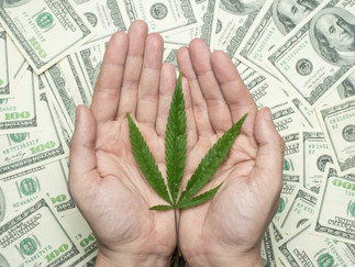 Cannabis Funding — Not So Green Pastures