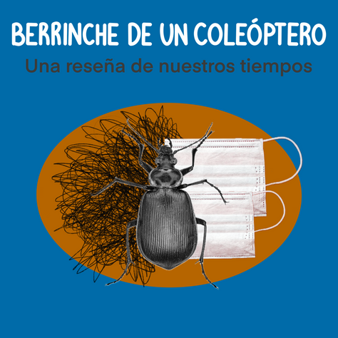 Berrinche de un coleóptero: una reseña de nuestros tiempo