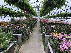 Stony Hill Farm Market