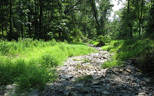 alstede3.jpg