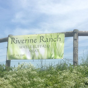 Riverine Ranch