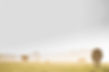 agriculture-animals-cows-9741.jpg