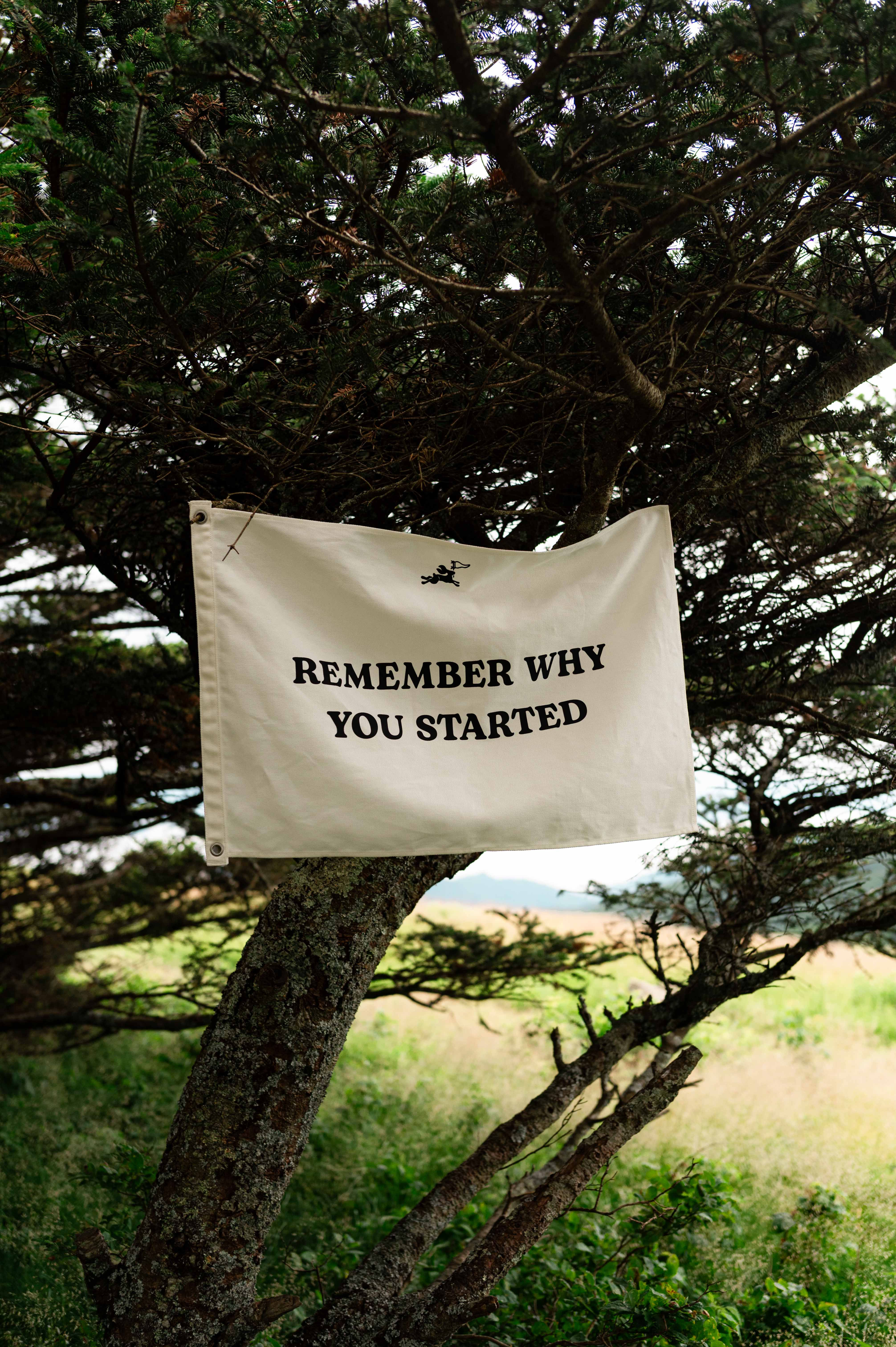 Remember Why You Started Flag
