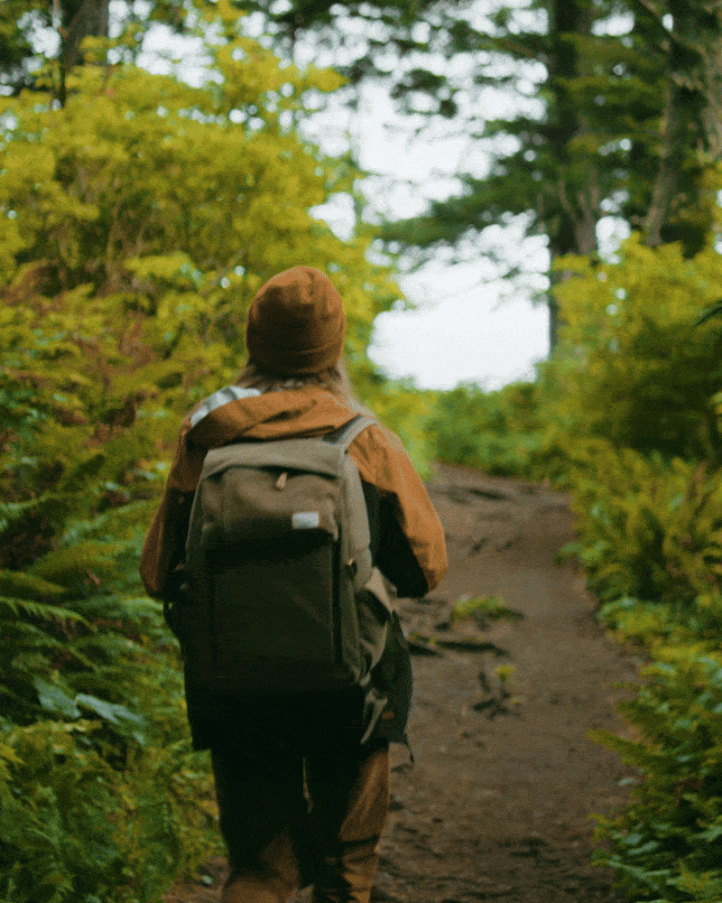 Hiking-ezgif.com-optimize.gif