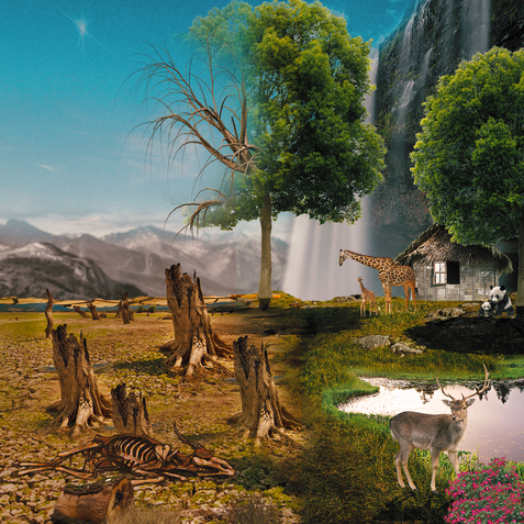 DEFORESTATION.png