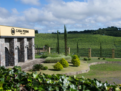 Casa Perini promove festival que une futebol, vinhos do mundo e gastronomia temática durante jogo da Seleção Brasileira