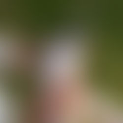 Casa Perini lança vinho exclusivo celebrando a excelência da safra de 2020