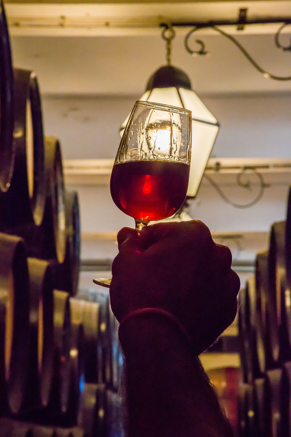 Dia dos Namorados: Adocicado e concentrado, Moscatel de Setúbal é o vinho ideal para acompanhar bombons e barras de chocolate