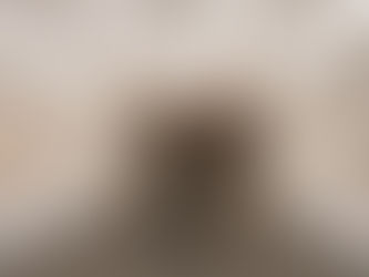 Com foco em experiência, Salton fortalece enoturismo durante a vindima