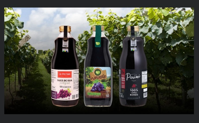Casa Perini produz os três melhores sucos de uva do Brasil, aponta avaliação
