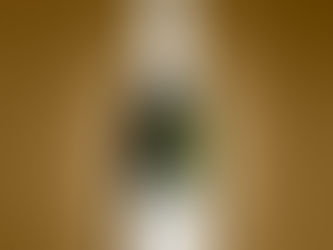 Dia da Mulher: Salton Poética traduz em espumantes a delicadeza e a força do feminino