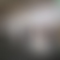 Wine South America 2025 - Pavilhão Italiano recebe cerca de 1.200 visitantes nos três dias do evento