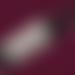 UVVA conquista medalha de ouro no Vinalies 2025 com seu Merlot