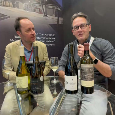 Viña Morandé por seu Enólogo-Chefe, Ricardo Baettig: um papo sobre história, inovação, terroirs, sucessos, fracassos e futuro.