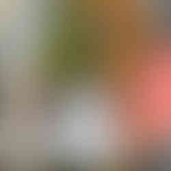 Alto Jahuel Experience: História, Terroir e a essência do  Cabernet Sauvignon 