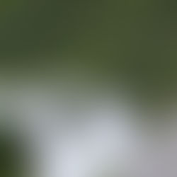 Enoturismo impulsiona economia da Serra da Mantiqueira e fortalece produção de azeites e vinhos